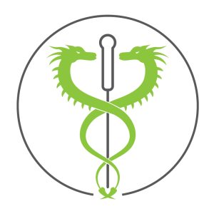 Ascending dragon logo